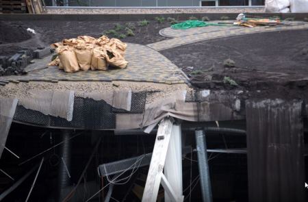 Green Roof Collapse
