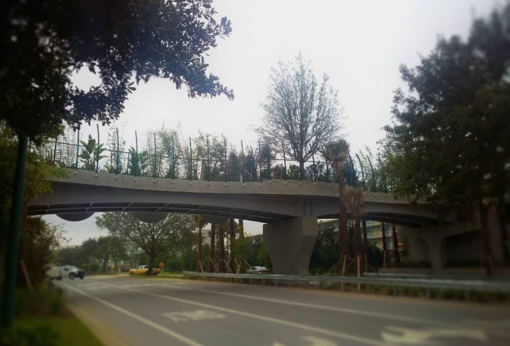 Green Bridge