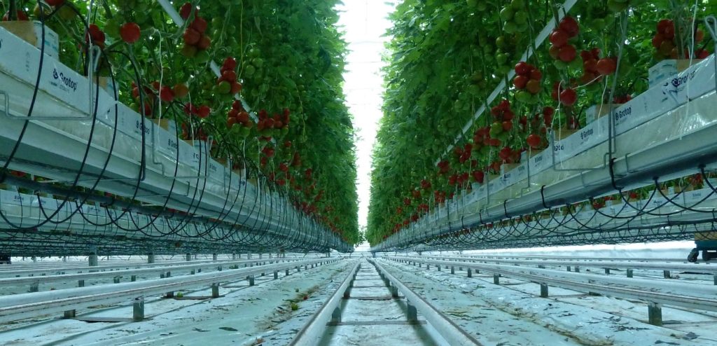 Typical Mineral Wool application