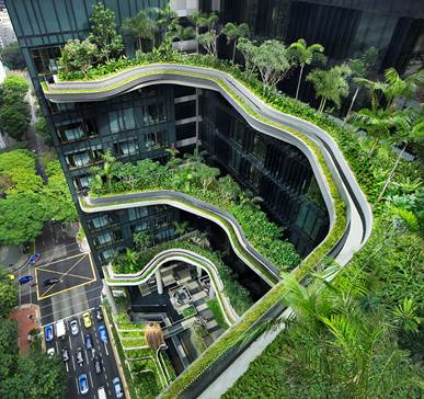 Green Roof ParkRoyal Hotel