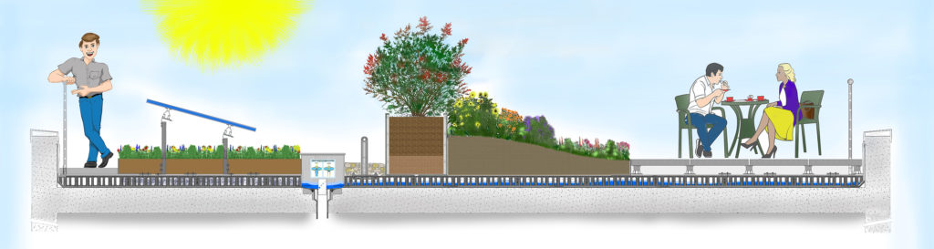 Green Roof Types