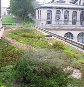 Semi-intensive Green Roof