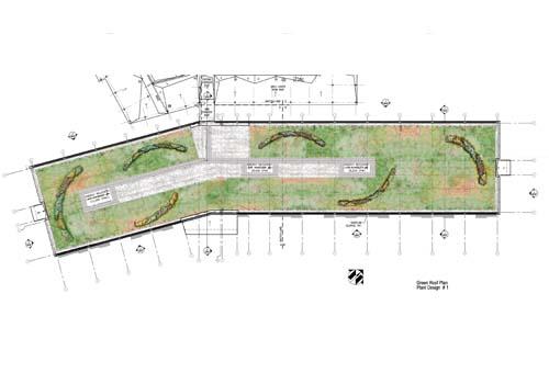 crafting Green Roofs and Design