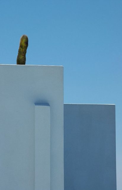 Green roof technical assistance