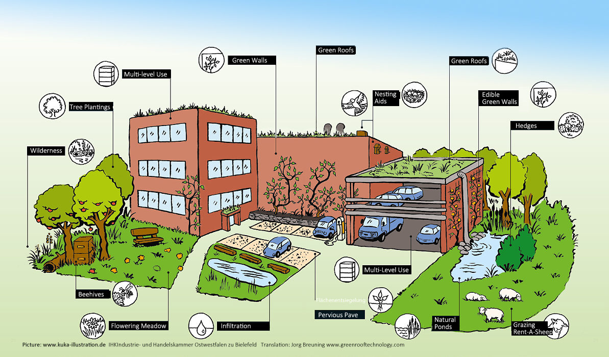 Green Roof mission and Green Infrastructure