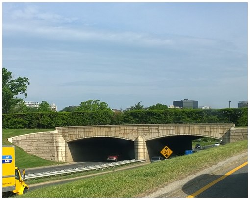 Green Garden Bridges