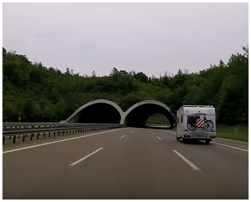 Green Garden Bridges