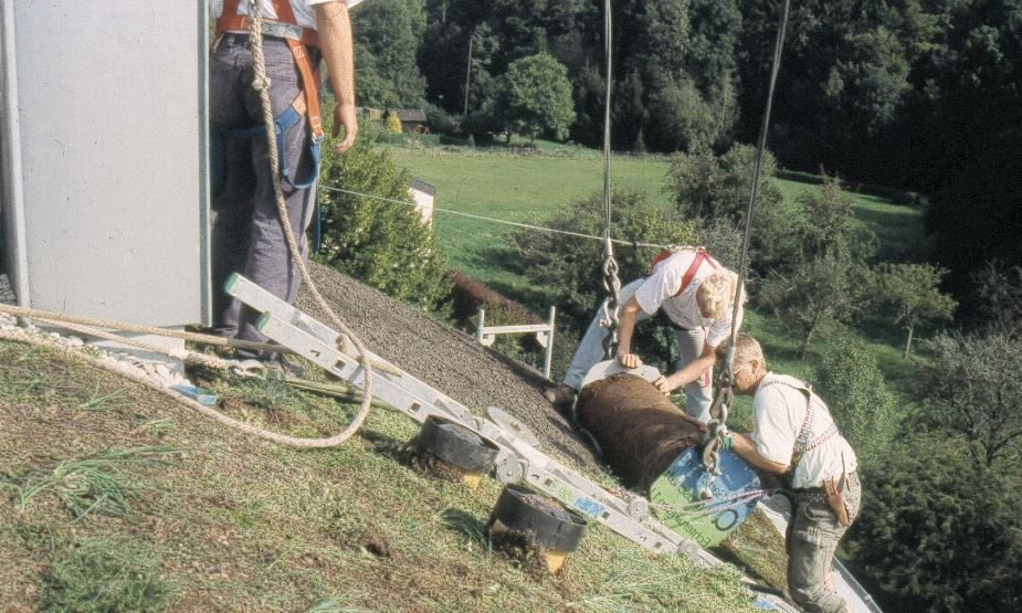 sloped Greenroofs