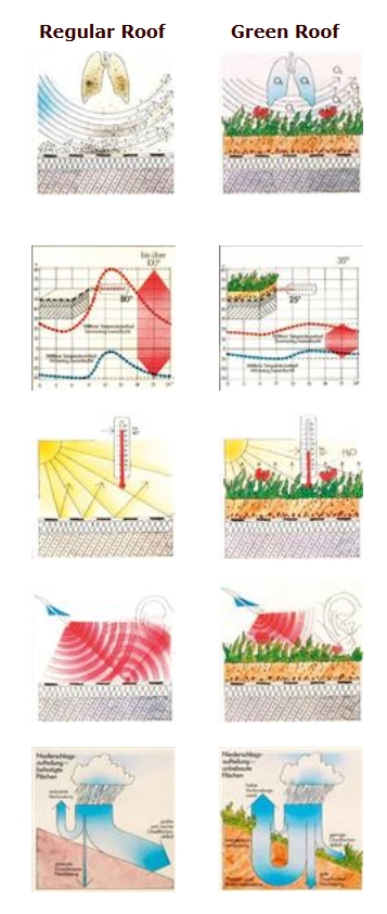 Green Roof Benefits