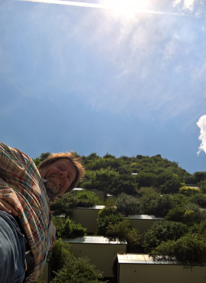 Green Roof Services and infrastructure