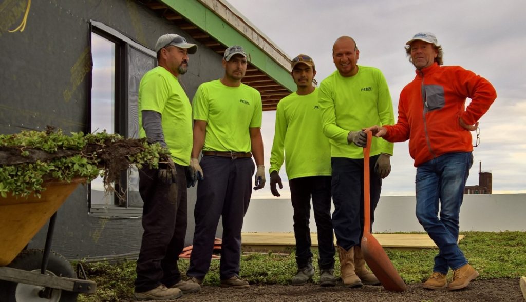 Greenrise Technologies green roof
