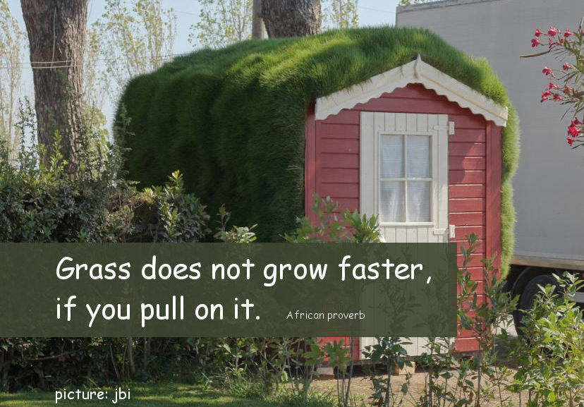 Green Roof with Lawn