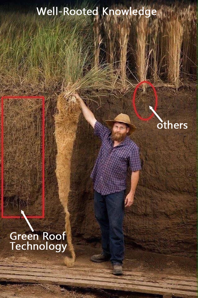 Green Roof Mission rooted in