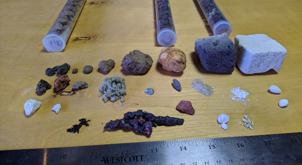 unmatched green roof services