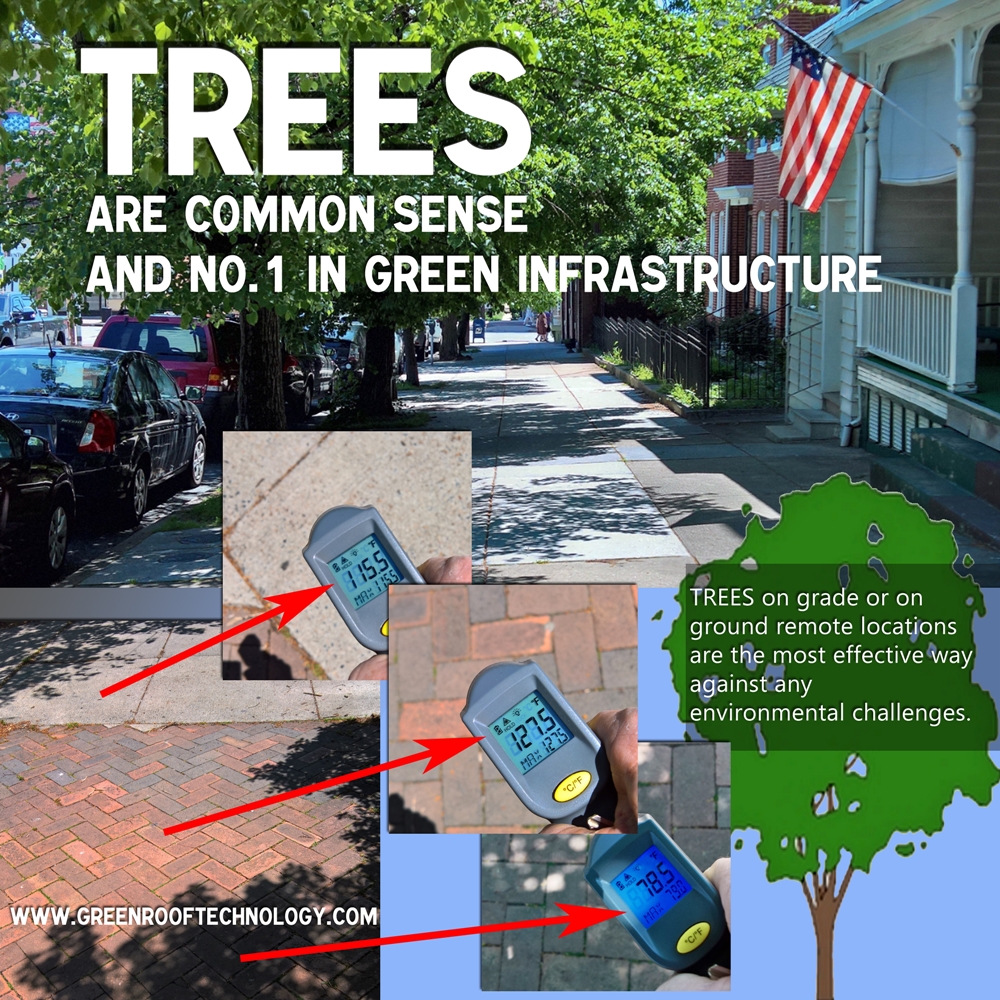 Trees and Green Infrastructure