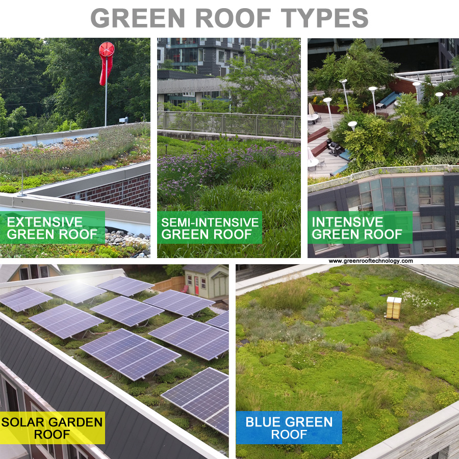 Green Roof Types